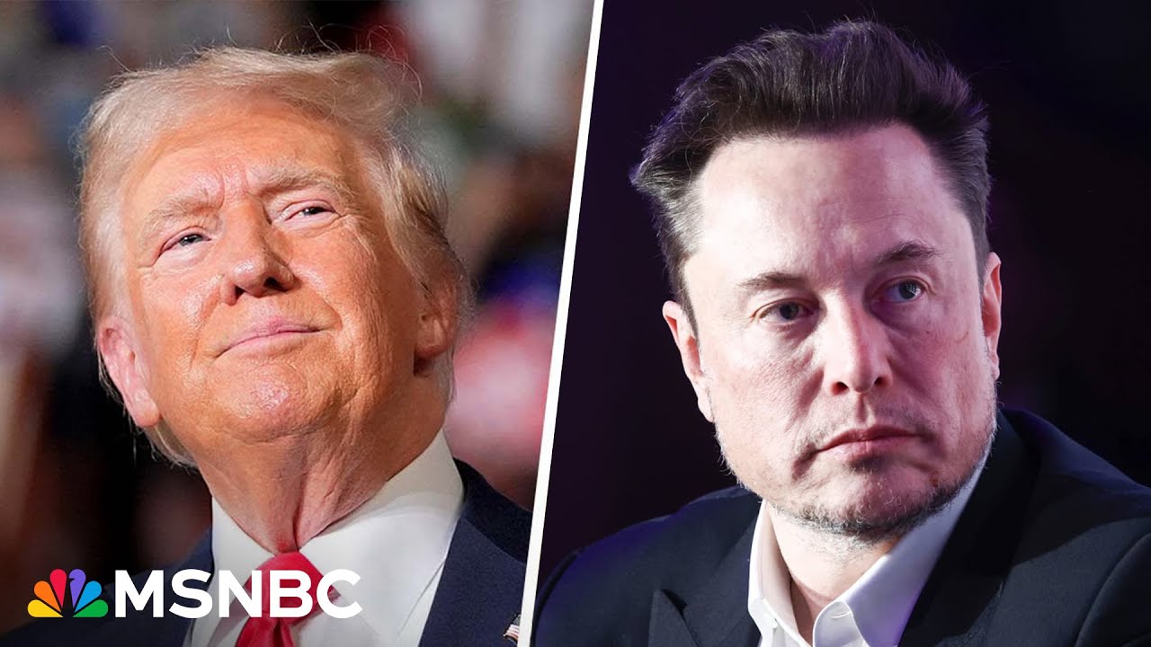 'We've never had robber barons with this kind of power before': Examining Elon Musk's political sway