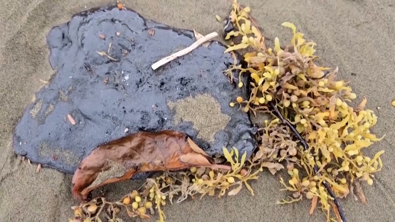 Mexican navy says tanker, seabed likely caused Gulf oil spill