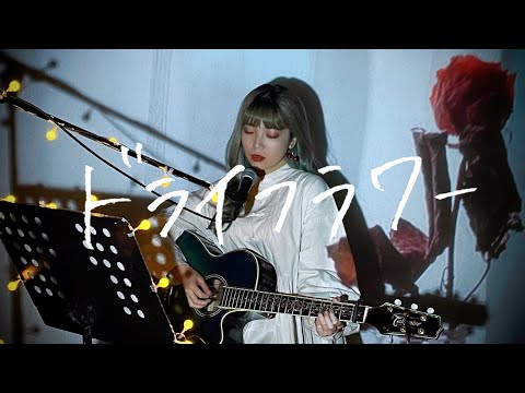 ドライフラワー / 優里 Cover by 野田愛実