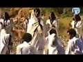 TPLF Song - Ma'erinet biqalsi by Mulu Gwahd