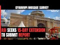After 100-Day Gyanvapi Mosque Survey, Central Body Seeks More Time, Again
