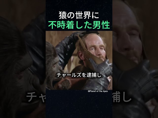 猿の世界に不時着した男性