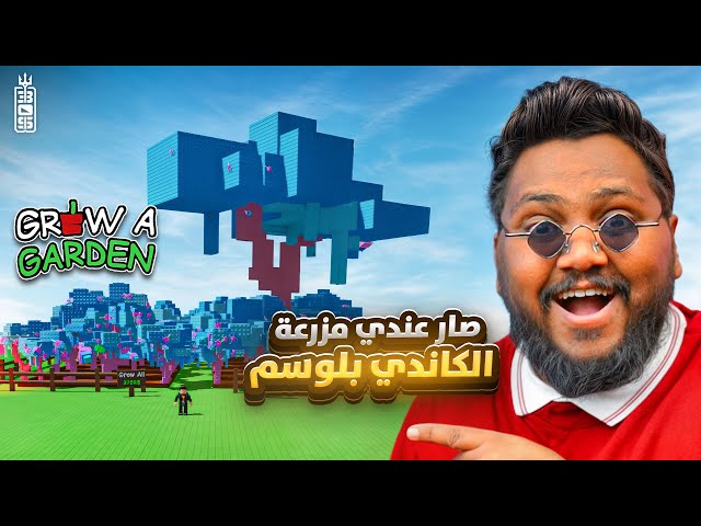اكبر مزرعه كاندي بلوسم 😱 اعطيت تيم عص 25 حيوان نادر🔥- ماب المزرعة - Roblox Grow Garden