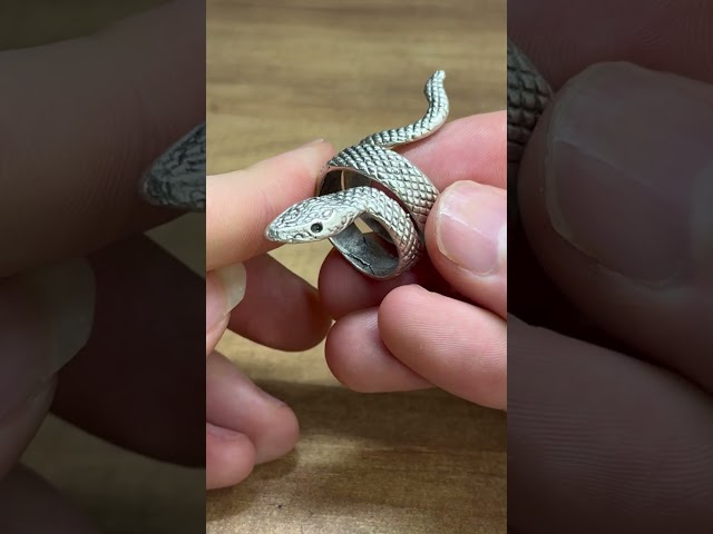 🔔 Textured Snake Steel Ring - Product Link in Bio ( # 2380 ) ‪@MaviGadgets‬