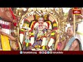 కల్పవృక్ష వాహనంపై శ్రీదేవి భూదేవి సమేత శ్రీనివాసుడు | Jubilee Hills TTD Temple Brahmotsavalu 2024  - 09:59 min - News - Video