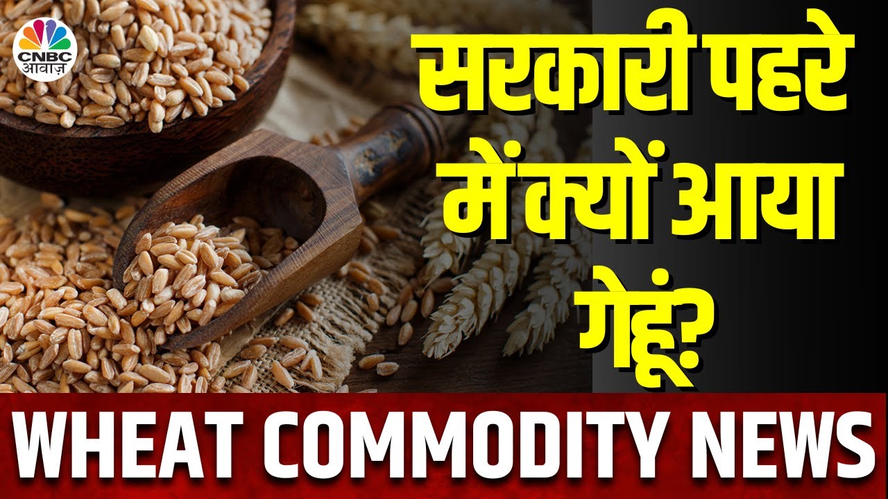 Wheat Stock Limit News | सरकार ने गेहूं की Stock Limit को हटाया, इसका क्या पड़ेगा असर?