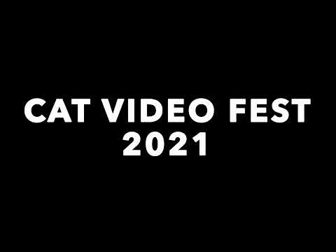 CatVideoFest 2021'