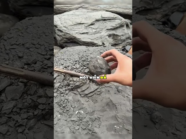 Ông nội bảo bên trong tảng đá này cất giấu bí mật hàng triệu năm ! 😲
