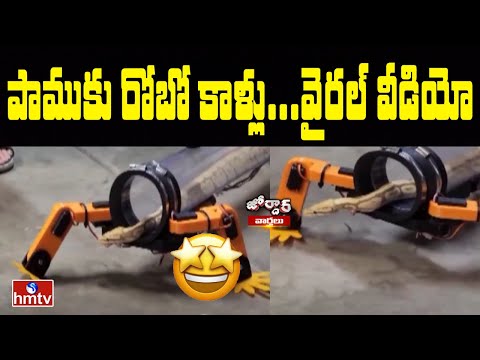 Engineer builds robotic legs for snake, video goes viral