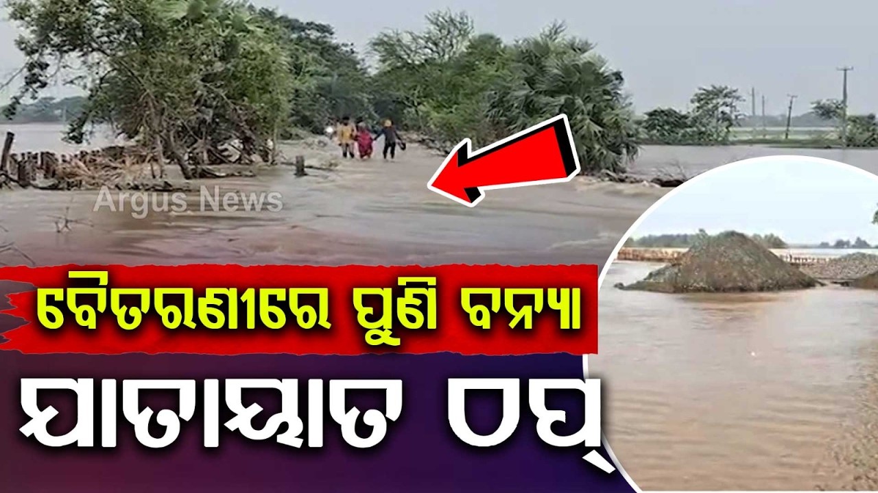 Baitarani River Swells Again; Flood Threat In 25 Villages Of Chandbali | Argus News