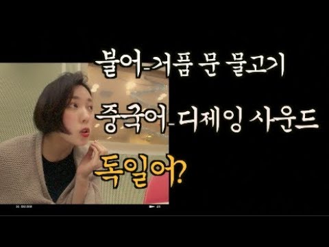 약빨고 가짜로 외국어 하는법 알려줌/ 7개국어자 되는 꿀팁 최초 공개ㅋㅋㅋㅋㅋㅋㅋㅋㅋㅋㅋㅋ