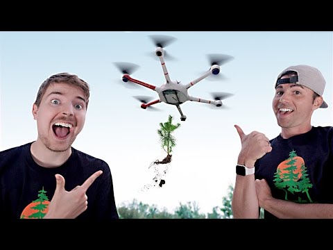 DroneSeed helps plant 20 Million Trees for #TeamTrees DroneSeed helps plant 20 Million Trees for #TeamTrees