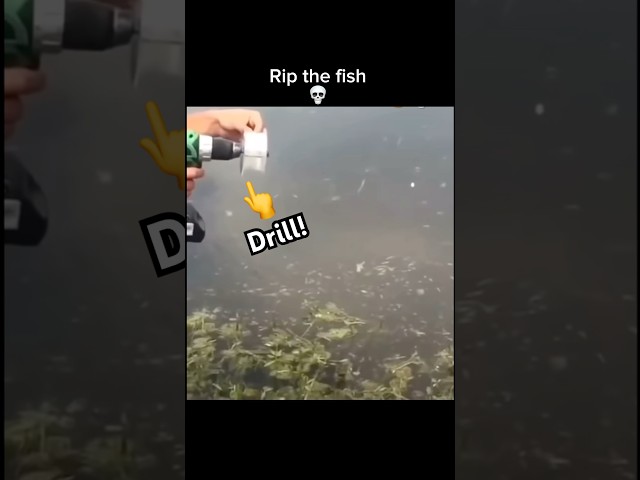 Bro caught a fish on a drill!😂#trending #shortsviral #shorts #funny #youtubeshorts #viral #fyp