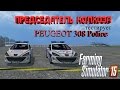 Peugeot 308 pm et pn v1