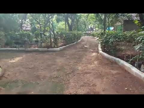 Video realizado por la propiedad
