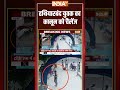 Viral Video: हथियारबंद युवक का कानून को चैलेंज #hapur #viralvideo #crimenews #upppolice #cmyogi  - 01:11 min - News - Video
