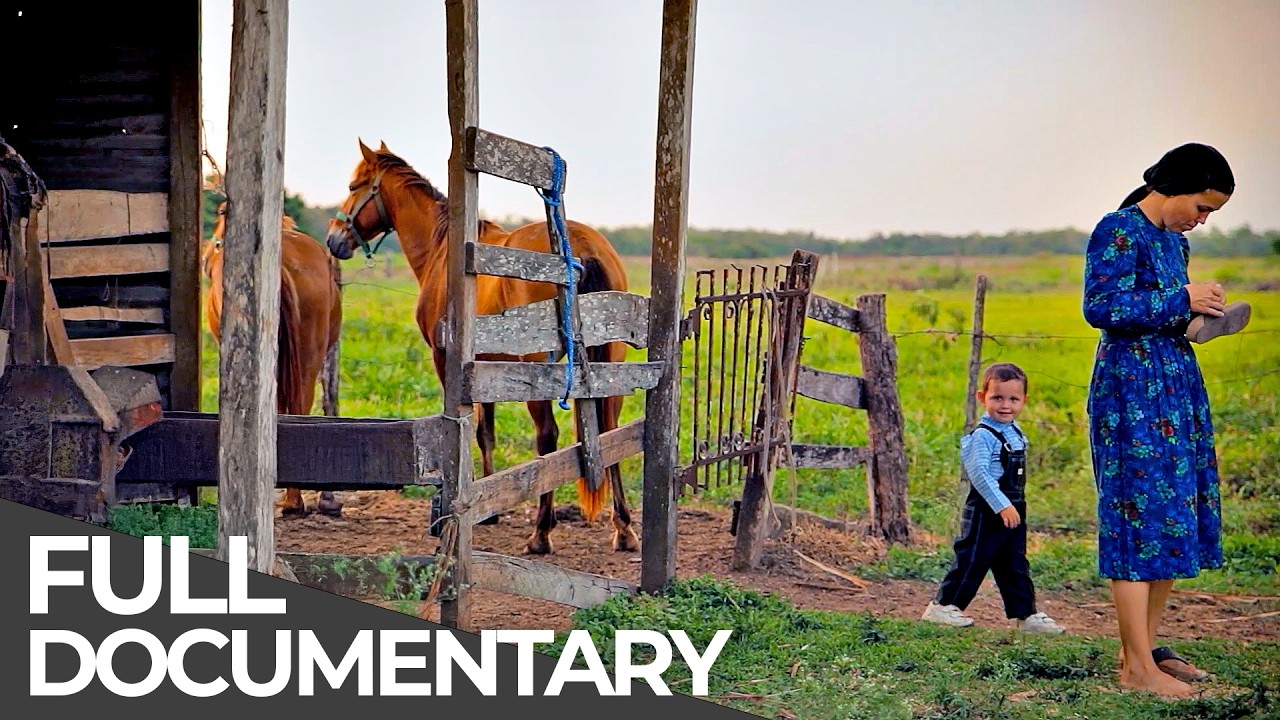The Mennonite Colony: Living Like the 19th Century | Free Documentary