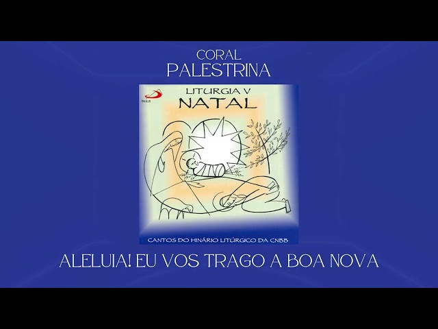 Preview do vídeo