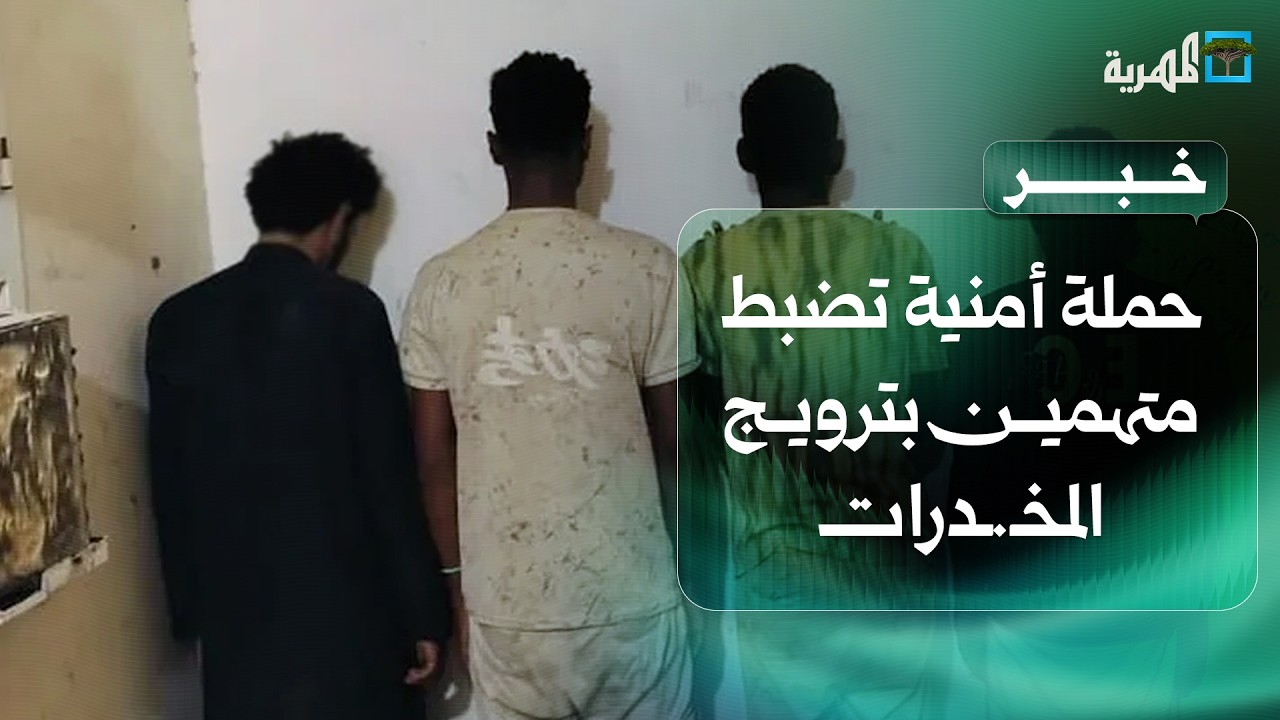 الأجهزة الأمنية بالمهرة تنفذ حملة أمنية وتضبط متهمين بقضايا ترويج المخدرات