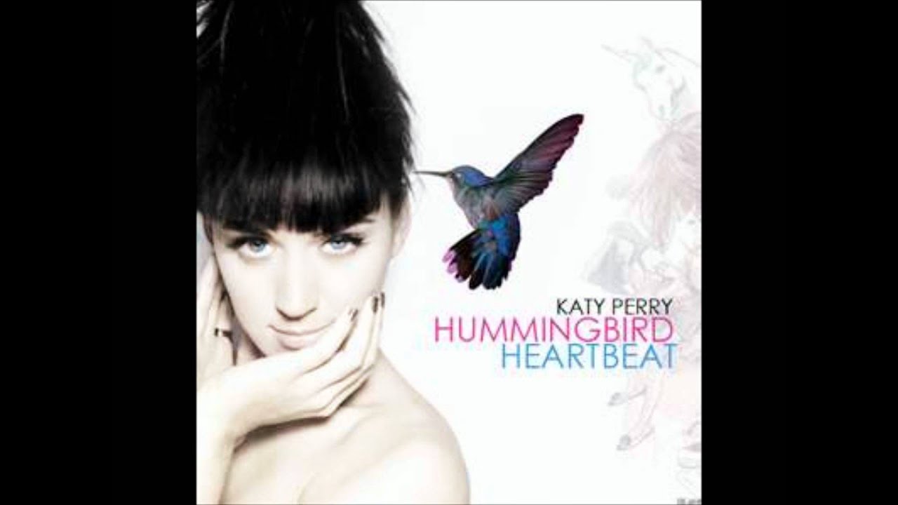 katy-perry-hummingbird-heartbeat-w-lyrics-hd-youtube