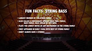 Bass