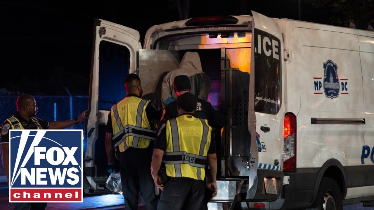 ICE agent badly injured after deadly traffic stop: Report