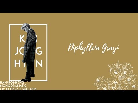 Jonghyun (종현) - Diphylleia Grayi (Skeleton Flower) (산하엽) (Han|Rom|Eng)