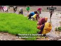 How To Tackle The Impact Of Climate Change On Agriculture and Food Security?  - 08:49 min - News - Video