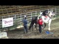 Tire de chevaux St-Antonin 2014 vidéos 6