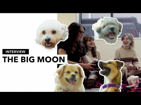 The Big Moon - Hanging with Doggies and The Big Moon