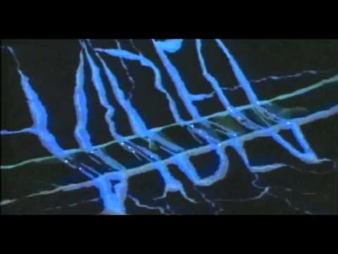 Videodrome'