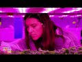 This Biopod Could Be Used On Earth And In Space | News9  - 03:10 min - News - Video