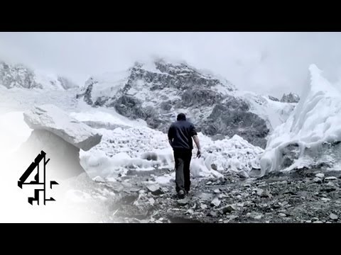 Bigfoot Files'