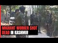 Migrant Worker From UP Shot Dead In Jammu And Kashmirs Pulwama