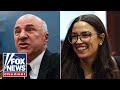 Kevin OLeary tears into AOC: Wouldnt let her manage a candy store