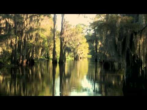 Boggy Creek'