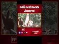 పవన్ ఇంటి ముందు సంబరాలు || Celebrations at Pawan kalyan House || 99TV  - 00:17 min - News - Video