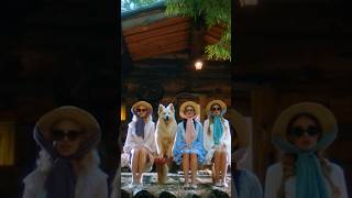 Группа «Фабрика» — «Могла как могла» Стихи: Михаил Гуцериев  #ИсторииБольшихПесен