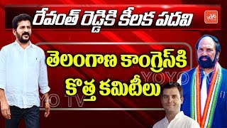 Breaking News: Revanth Reddy is T- Cong working president..