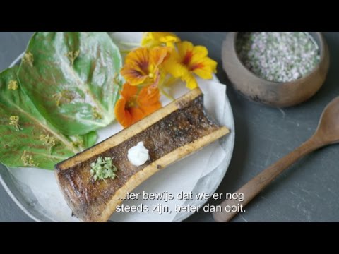 Noma: My Perfect Storm'