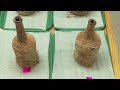 Centuries-old cherries unearthed at George Washingtons Mount Vernon estate  - 01:59 min - News - Video