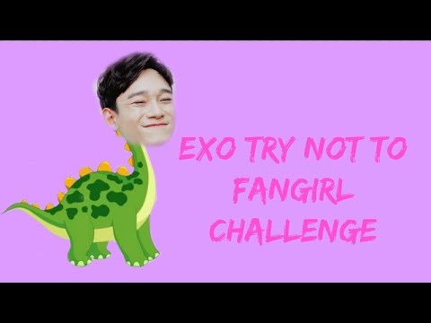 EXO TRY NOT TO FANGIRL CHALLENGE// cute & funny moments