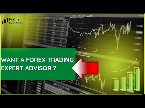 Want a Forex trading Expert Advisor ? | Best Forex Trading Setups NOW! | Forex Trading Strategies