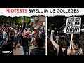 Gaza Protests | More Arrests On US Universities Campuses As Gaza Protests Continue