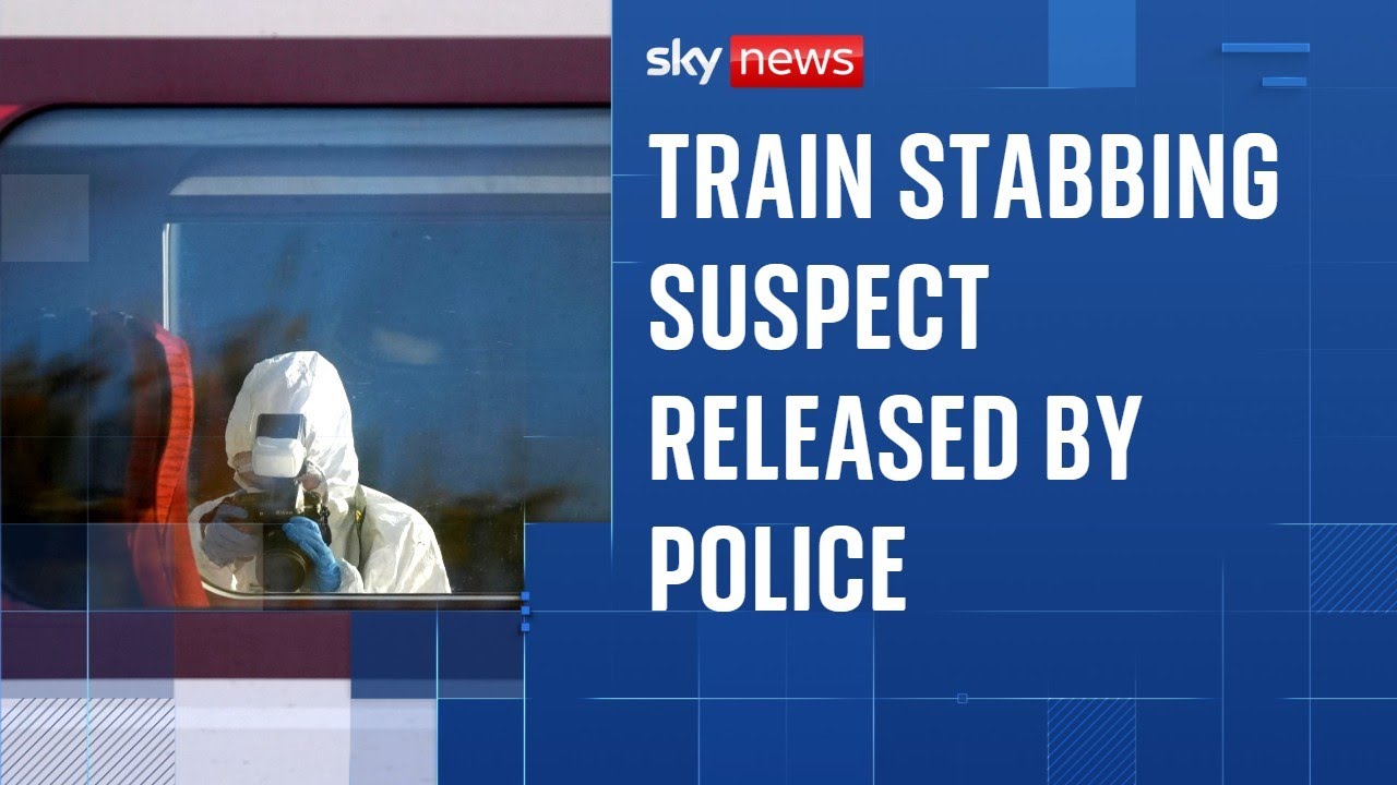 British man remains in custody after mass stabbing attack on train