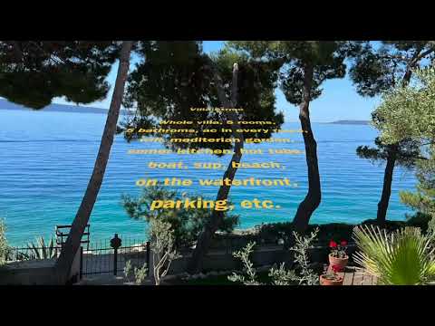 Property video