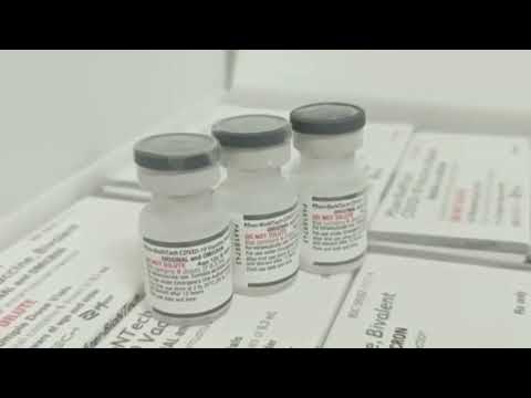 Vídeo: Vacina bivalente em Pará de Minas