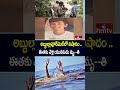 అబ్దుల్లాపూర్‌మెట్⁬లో విషాదం .. ఈతకు వెళ్లి యువకుడు మృ**తి | Abdullapurmet | hmtv  - 00:33 min - News - Video