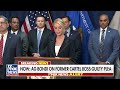 LANDMARK VICTORY: AG Bondi announces cartel boss El Mayo guilty plea  - 02:57 min - News - Video
