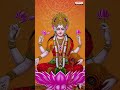 శుక్రవారం లక్ష్మీదేవి పాటలు #SirulaTalliRavamma #FridaySpecialSongs #LakshmiDeviSongs #BhaktiSongs  - 00:59 min - News - Video
